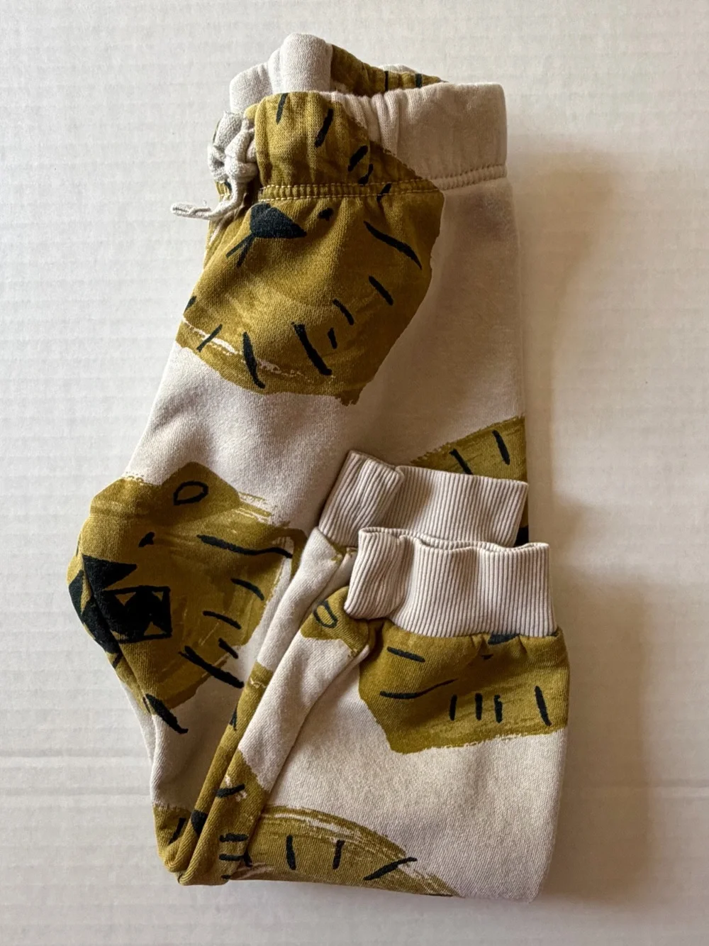 H&M Kids Lion Print Sweatshirt Jogger 2 Piece Set 2-3Y